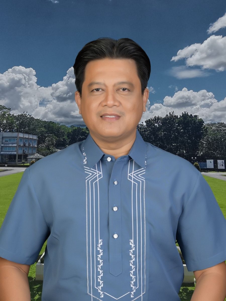 ENGR. ARVIN P. TOLENTINO